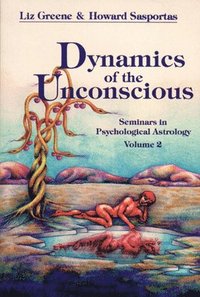 bokomslag Dynamics of the Unconscious