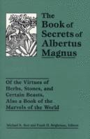 bokomslag Book Of Secrets Of Albertus Magnus