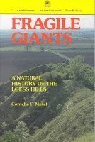 Fragile Giants 1