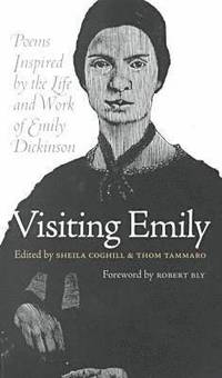 bokomslag Visiting Emily
