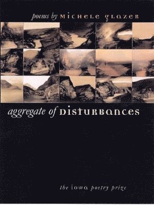 Aggregate of Disturbances 1