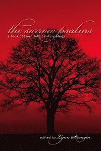 bokomslag Sorrow Psalms