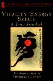 bokomslag Vitality, Energy, Spirit