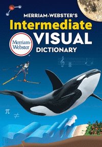 bokomslag Merriam-Webster's Intermediate Visual Dictionary