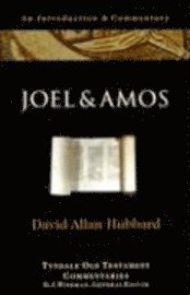 bokomslag Joel and Amos: An Introduction and Commentary