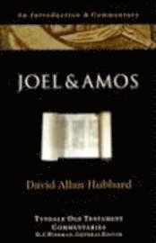 Joel and Amos: An Introduction and Commentary 1