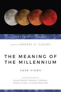 bokomslag The Meaning of the Millennium - Four Views