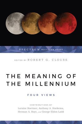 bokomslag The Meaning of the Millennium - Four Views