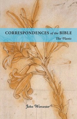 bokomslag Correspondences Of The Bible: Plants