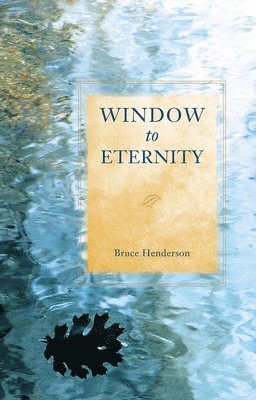 bokomslag Window to Eternity