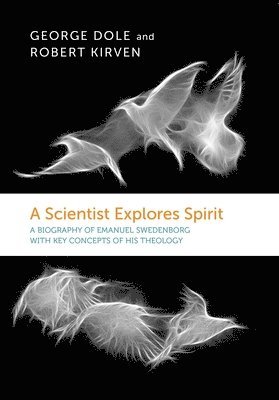bokomslag A Scientist Explores Spirit