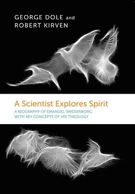 Scientist Explores Spirit 1