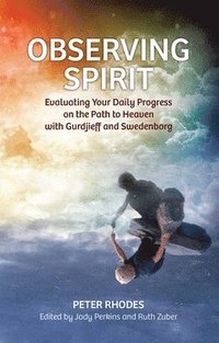 bokomslag Observing Spirit