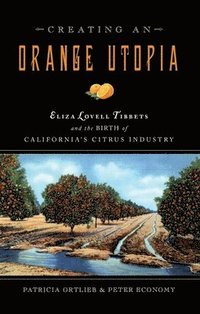 bokomslag Creating an Orange Utopia