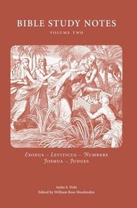 bokomslag Bible Study Notes vol. 2