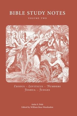 bokomslag Bible Study Notes vol. 2