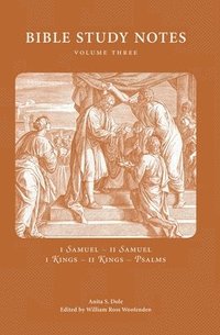 bokomslag Bible Study Notes vol. 3
