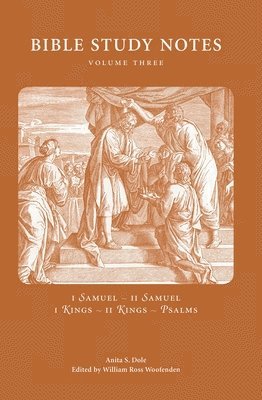 bokomslag Bible Study Notes vol. 3