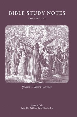 bokomslag Bible Study Notes vol. 6