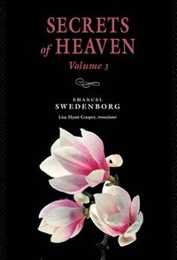 bokomslag Secrets Of Heaven 3