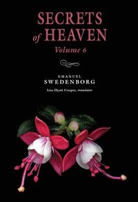 bokomslag Secrets Of Heaven 6