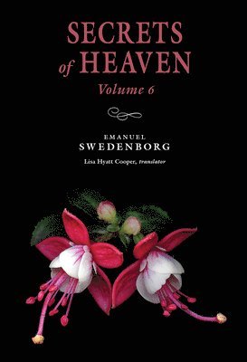 bokomslag Secrets Of Heaven 6