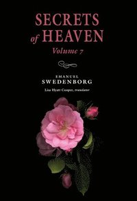 bokomslag Secrets Of Heaven 7