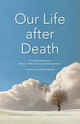 bokomslag Our Life after Death