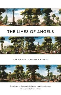 bokomslag Lives Of Angels