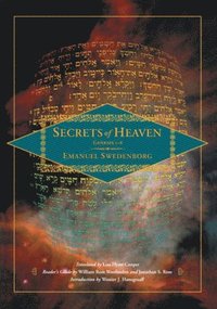 bokomslag Secrets of Heaven 1