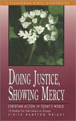 bokomslag Doing Justice, Showing Mercy: Christian Action in Today's World