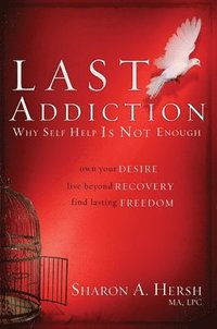 bokomslag The Last Addiction