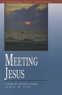 bokomslag Meeting Jesus