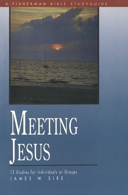 James W. Sire - Meeting Jesus, Häftad