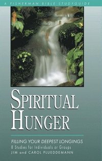 bokomslag Spiritual Hunger