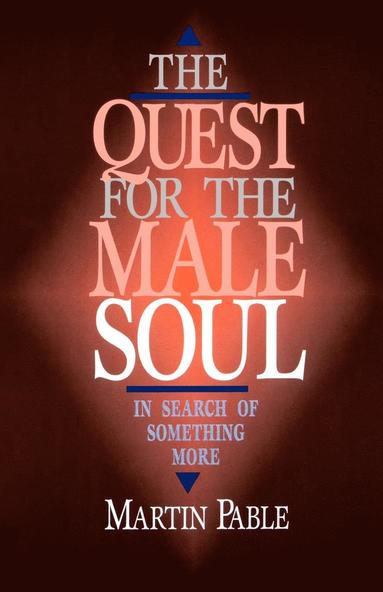 bokomslag The Quest for the Male Soul: In Search of Something More
