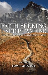bokomslag Faith Seeking Understanding