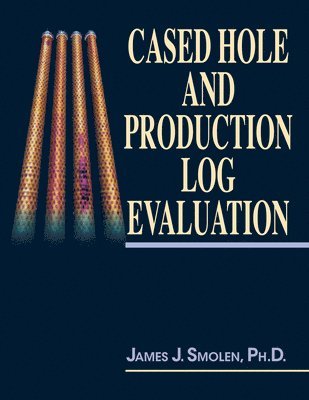 bokomslag Cased Hole and Production Log Evaluation