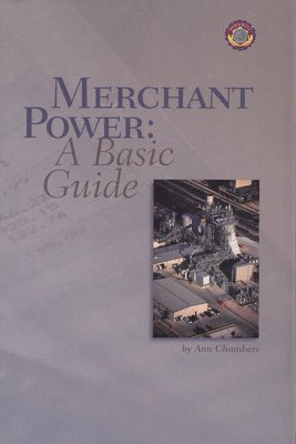 bokomslag Merchant Power