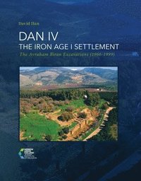 bokomslag DAN IV - The Iron Age I Settlement