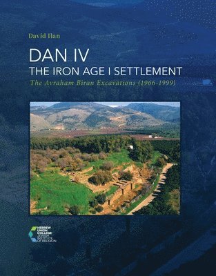 DAN IV - The Iron Age I Settlement 1