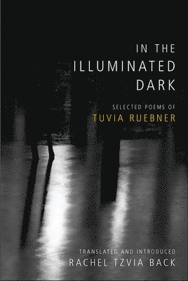In the Illuminated Dark 1