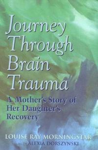 bokomslag Journey Through Brain Trauma