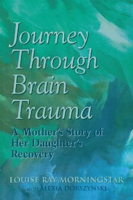 Journey Through Brain Trauma 1