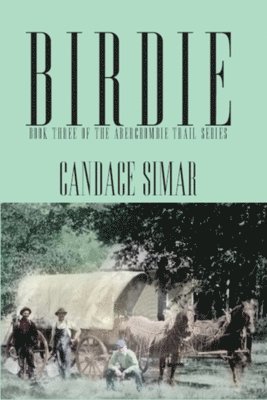 bokomslag Birdie Volume 3