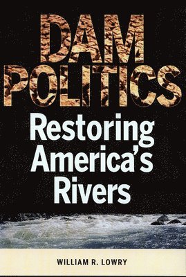 William R. Lowry - Dam Politics, Häftad