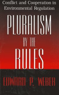 bokomslag Pluralism by the Rules