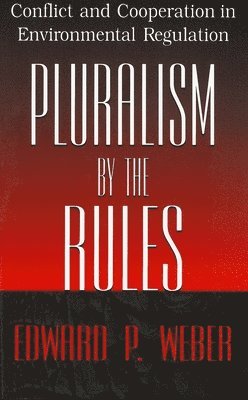 Pluralism by the Rules 1