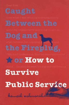 bokomslag Caught Between the Dog and the Fireplug, or How to Survive Public Service