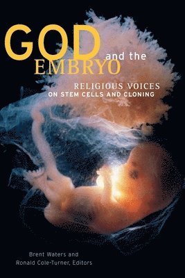 bokomslag God and the Embryo